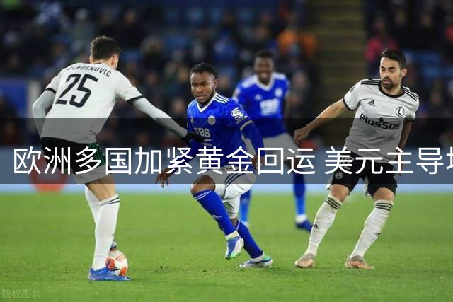欧洲多国加紧黄金回运 美元主导地位面临考验