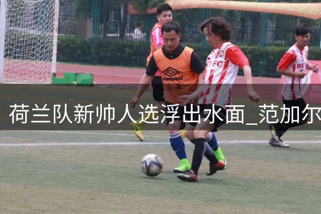 荷兰队新帅人选浮出水面 范加尔妻子辟谣回归传闻